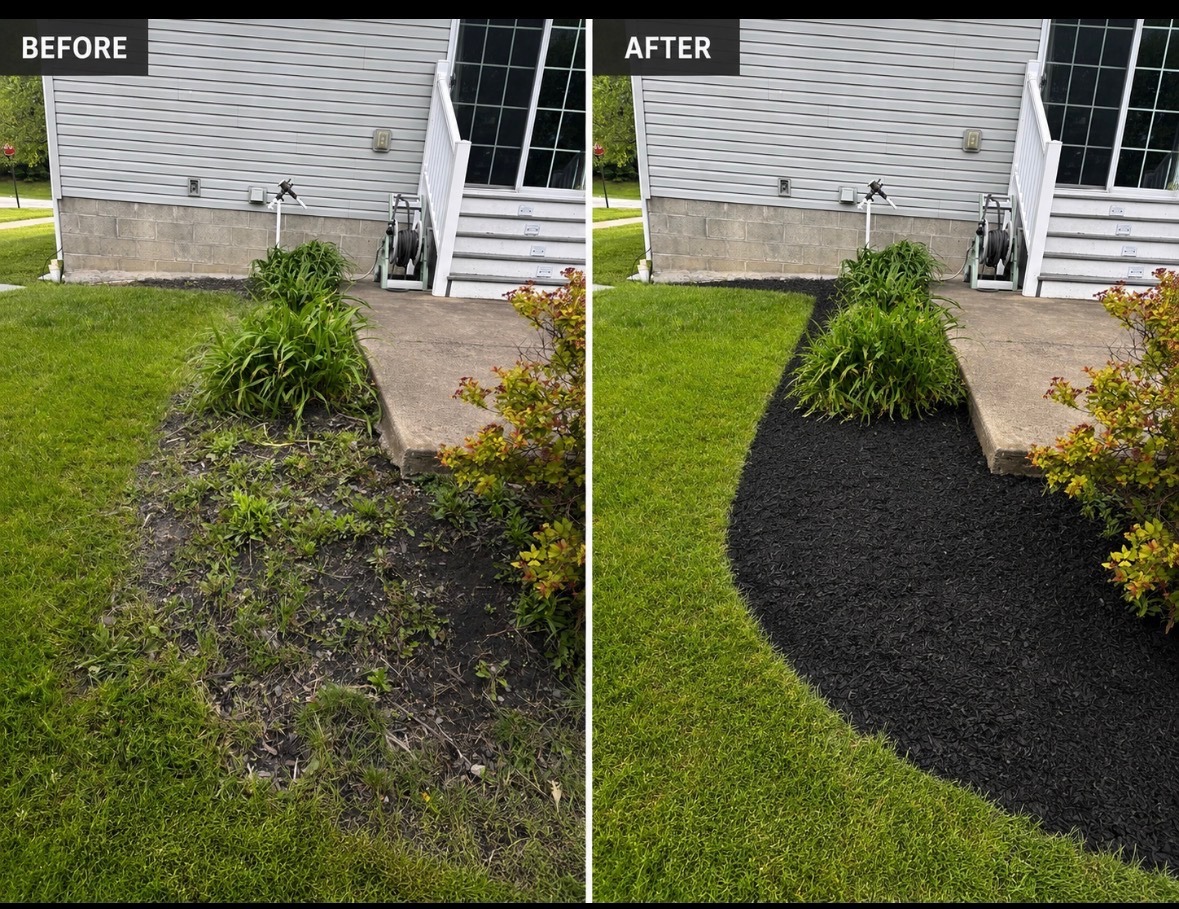 Before and after view of a walkway bed with new black mulch.